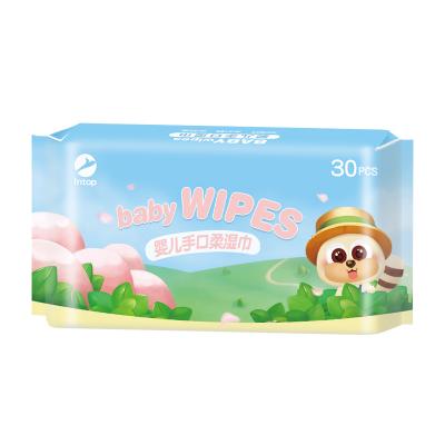 Individual Wet Wipes Package(30 Sheets)